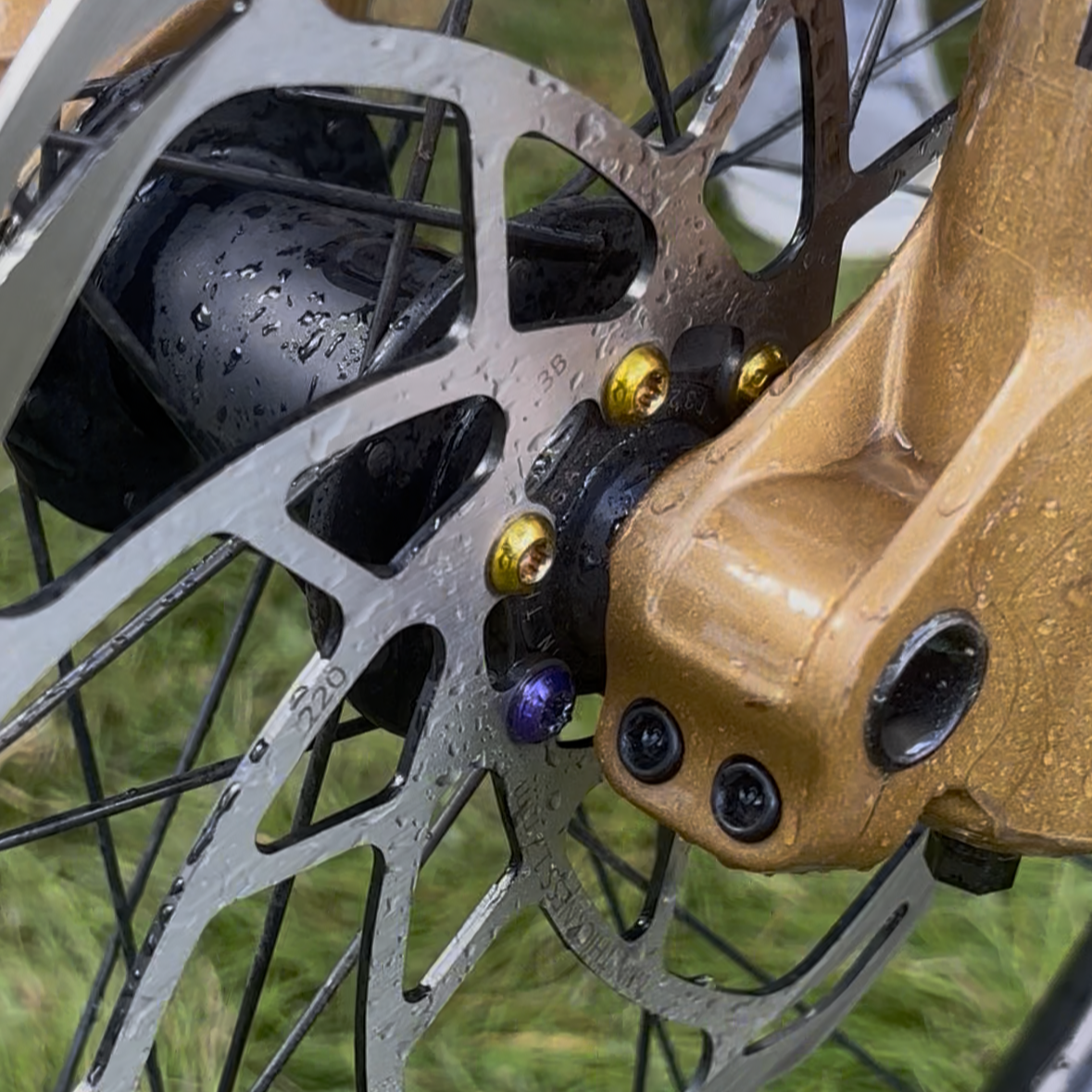 Premium Colorful MTB Disc Brake Rotor Screws